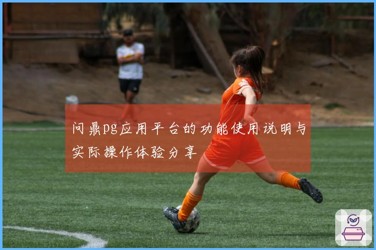 问鼎pg应用平台的功能使用说明与实际操作体验分享