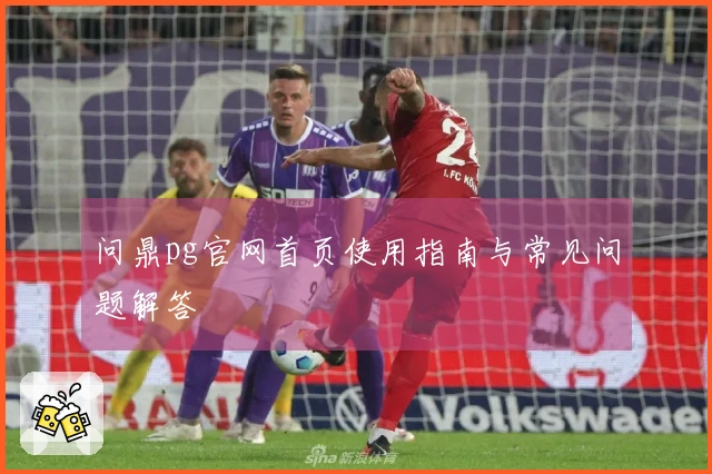 问鼎pg官网首页使用指南与常见问题解答
