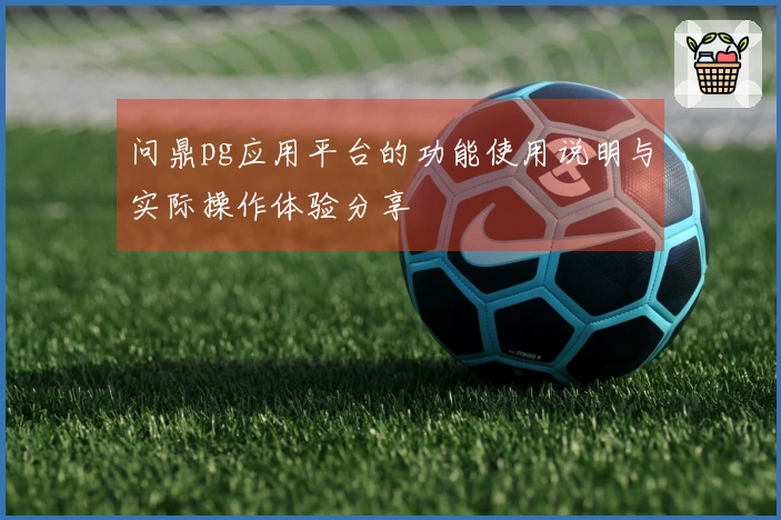 问鼎pg应用平台的功能使用说明与实际操作体验分享