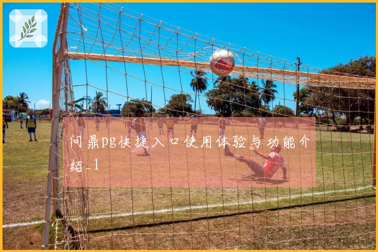 问鼎pg快捷入口使用体验与功能介绍_1